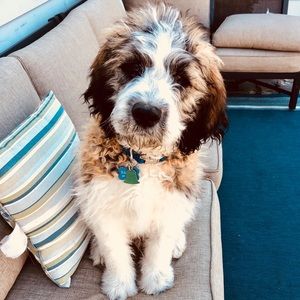 Meet your Posher, Kate